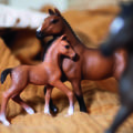 Niemiecka marka zabawek Schleich® zwiększa aktywność w Europie Środkowo-Wschodniej