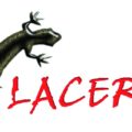 LACERTA: OŚWIADCZENIE