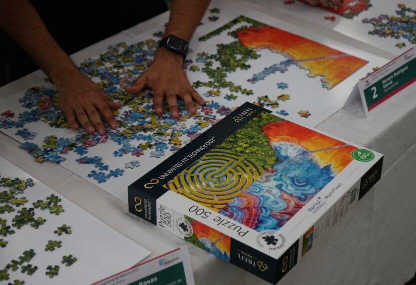 Trefl partnerem międzynarodowychmMistrzostw w układaniu puzzli