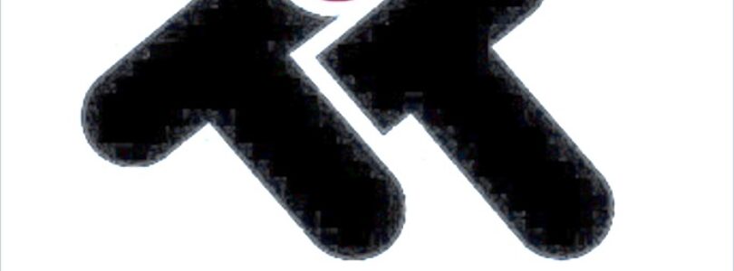 TADEO TRADING  Firma, która zrodziła się z pasji