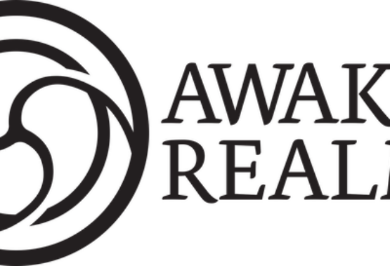 Nowy gracz na planszowym rynku: Awaken Realms Polska